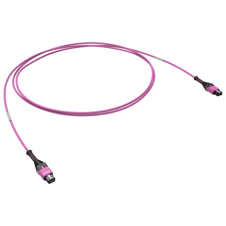 RNTMM12425 | Оптическая соединительная сборка 12ОВ 50/125 OM4, 1xMTP PRO(12)/1xMTP PRO(12), 25м