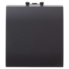 Вывод кабеля модульный Avanti, Черный матовый, 2 модуля