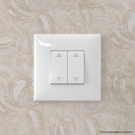 4400114 | Переключатель двухклавишный в стену, "Avanti", "Белое облако"-5