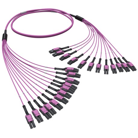 RNFLL24430 | Оптическая разветвительная сборка 24ОВ 50/125 OM4, 12хLC Duplex Uniboot/12хLC Duplex Uniboot, 30м